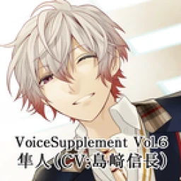 Voicesupplement icon